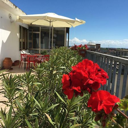B&B Colombo Pisa Dış mekan fotoğraf