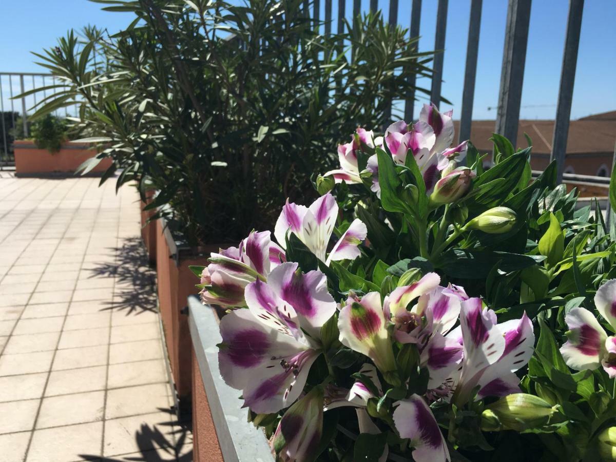 B&B Colombo Pisa Dış mekan fotoğraf