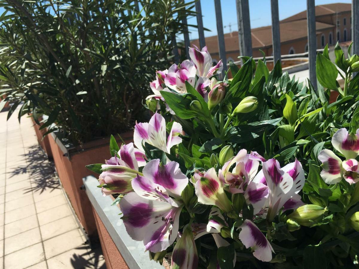 B&B Colombo Pisa Dış mekan fotoğraf
