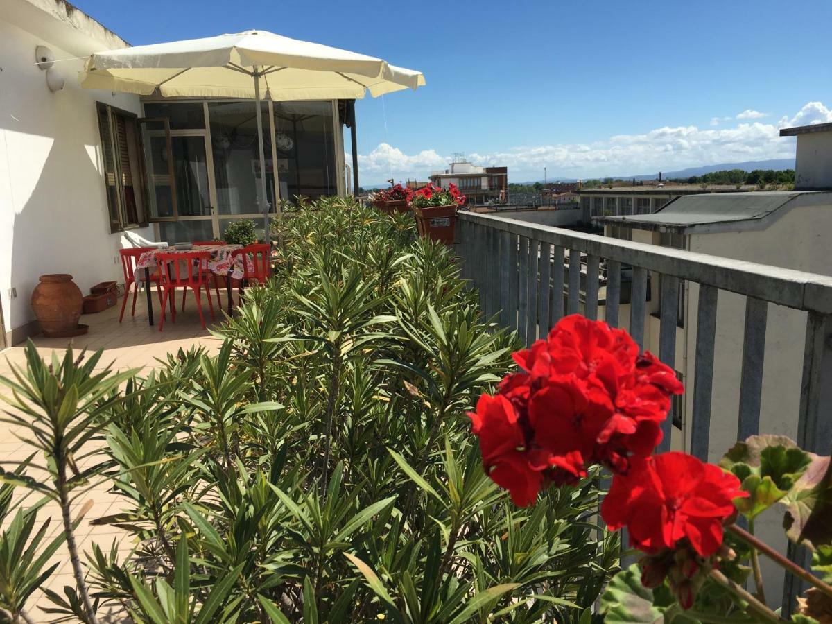 B&B Colombo Pisa Dış mekan fotoğraf